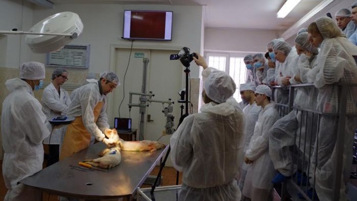 Укомплектованность штатов врачами-патологоанатомами в России продолжает снижаться