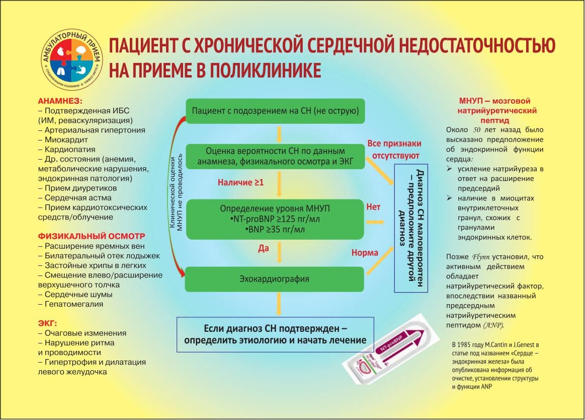 Прием в поликлинике москва. Алгоритм маршрутизации пациентов в поликлинике. Маршрутизация пациентов с ХСН. Алгоритм приема пациента в поликлинике. Маршрутизация кардиологических пациентов.