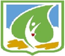 COVID-19: организация работы патанатомической службы